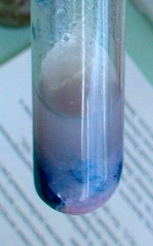 Студенистый осадок это. Гидроксид кобальта 2. Co Oh 2 цвет осадка. Цвет гидроксида цинка в осадке. Белый кристаллический осадок.