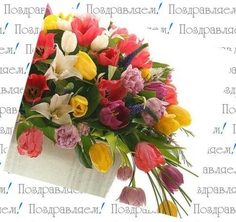 Поздравляем с юбилеем Елену Владимировну Андрееву!