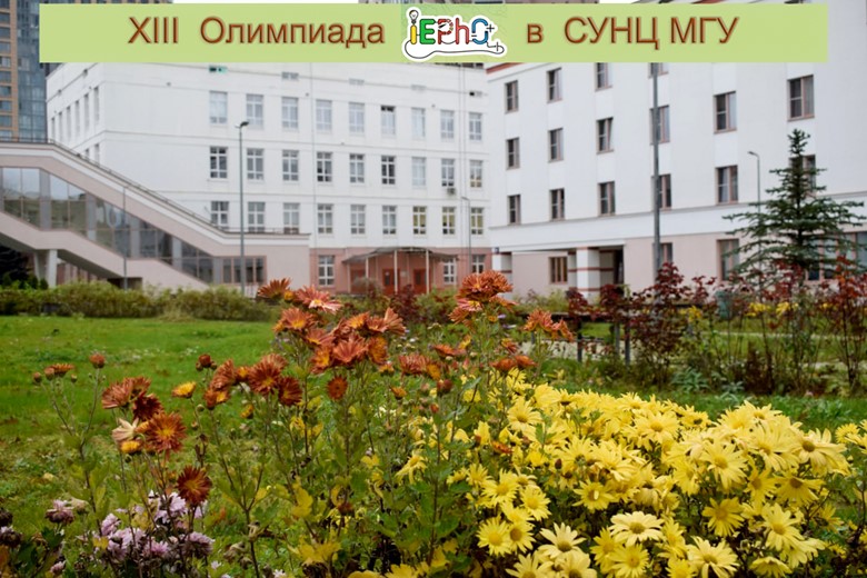 Итоги IEPhO — 2025