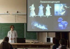 1 Корнилова