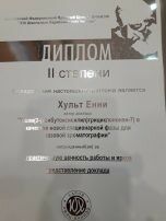 диплом Хульт