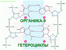 гетероциклы