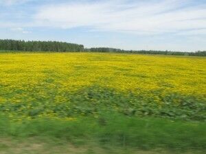 IMG_0027