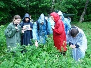 ZelOlymp2013