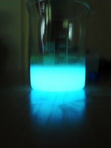 SAM_0685