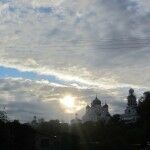 IMG_7805