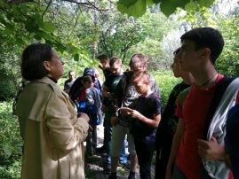 IMG_20170617_153707