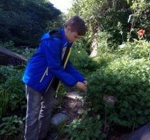 IMG_20170617_155044