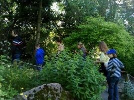 IMG_20170617_155126