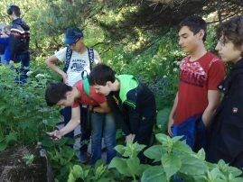 IMG_20170617_155754