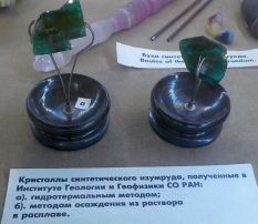 DSCN0650