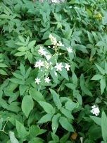 IMG_20180614_154700