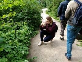 IMG_20180614_162921
