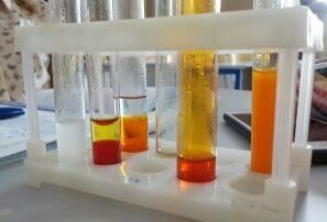 DSCN2434