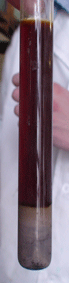 CuI-внизу-2